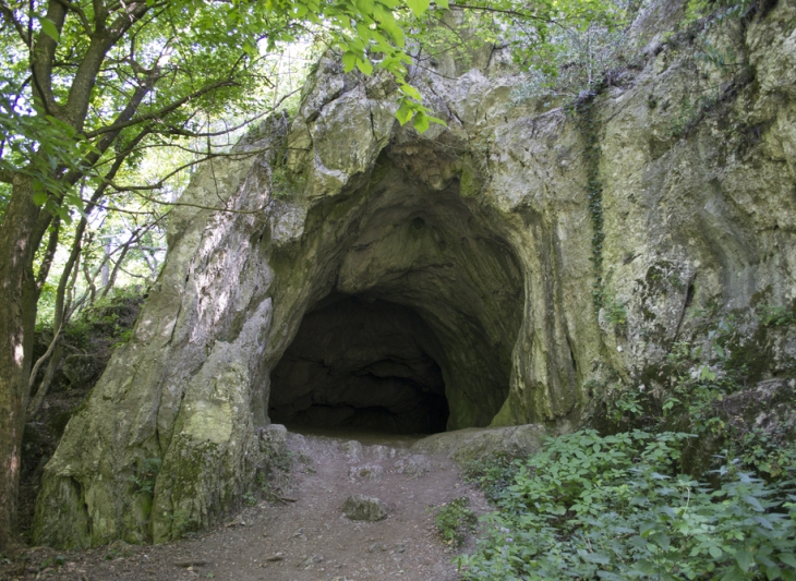 Barlang
